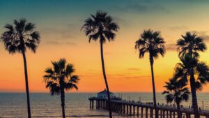 sun setting behind the palm trees in California